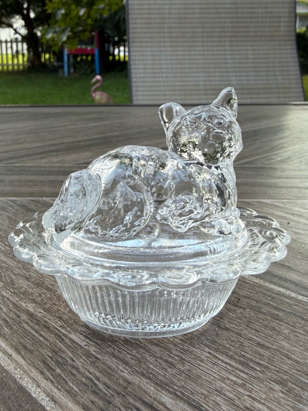 Mosser Mini Clear Cat on a Basket